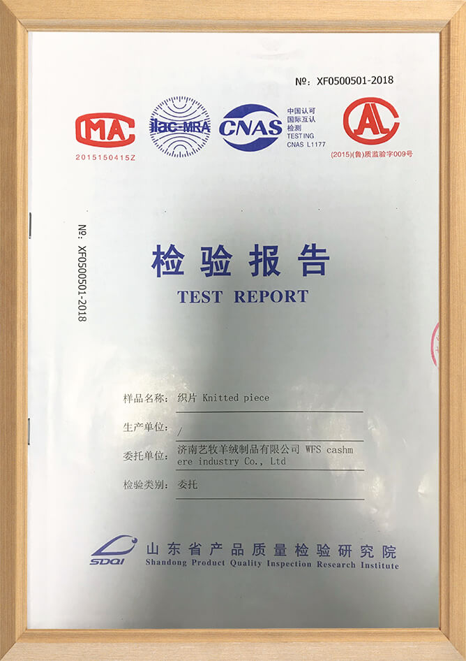 测试报告