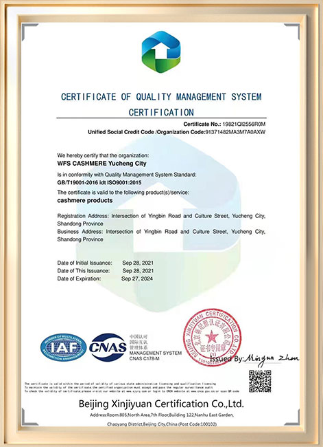 ISO 9001